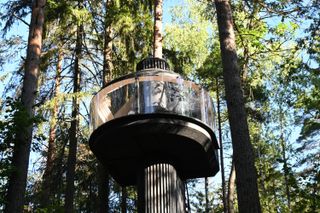 Koja treehouse in the forest