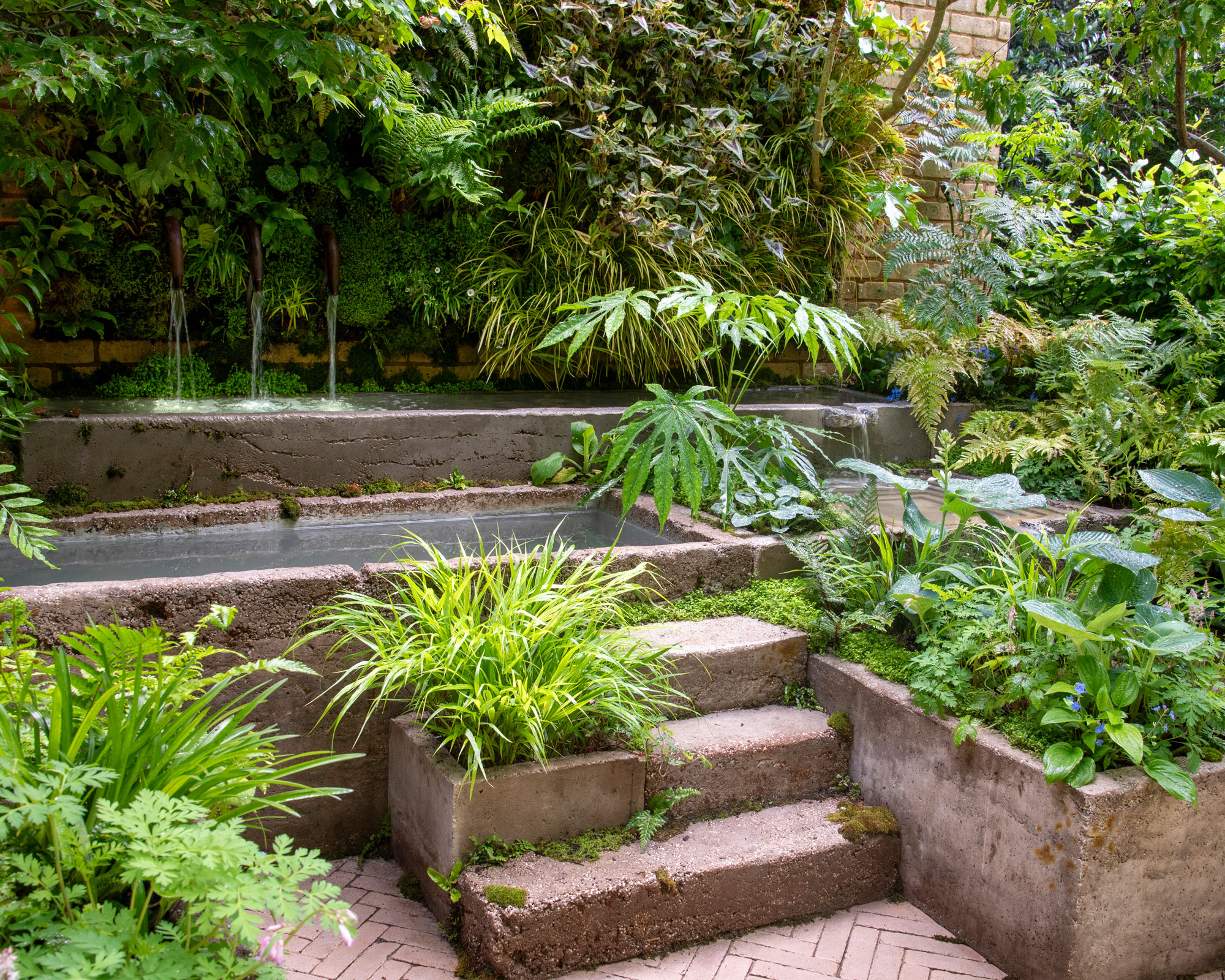 water feature design with tropical planting such as ferns and papaver