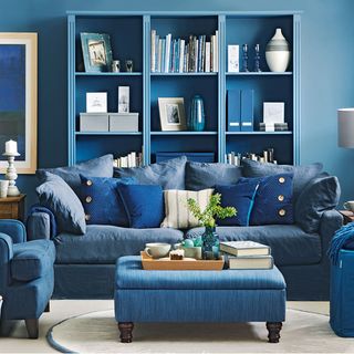 blue themed living room with sofa and shelf