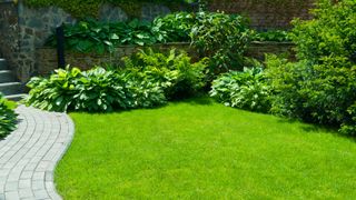 Garden is a shaped and healthy lawn