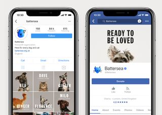 Battersea's new identity gives the flexibility to tell a rich and diverse story across all of its platforms
