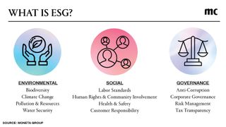 An inforgraphic breaking down ESG investing