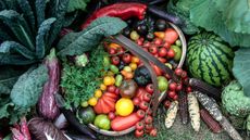trug of multi-colored tomatoes with other veg and fruit surrounding it