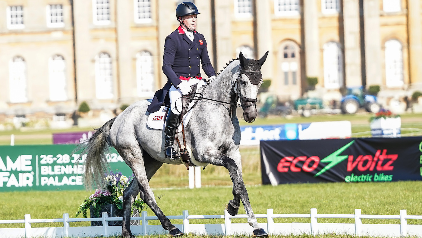 Oliver Townend and Cooley Rosalent are in provisional equal second in the Blenheim Horse Trials young horse CCI4*-S results on Friday.