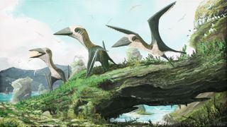 Artist's impression of the small-bodied, Late Cretaceous pterosaur from British Columbia against a background populated by ancient birds, which likely lived alongside the small, flying reptiles.