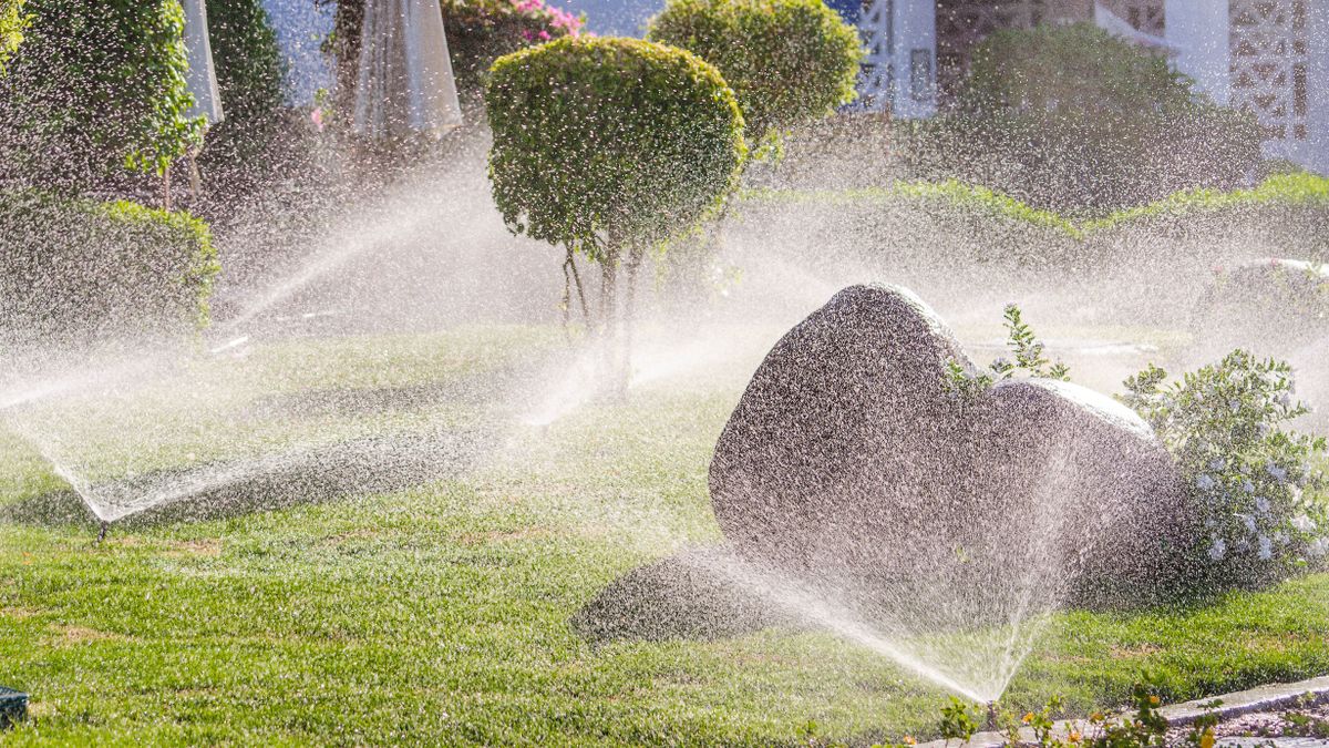 Sprinkler vs. hose which is better for your lawn? Tom's Guide