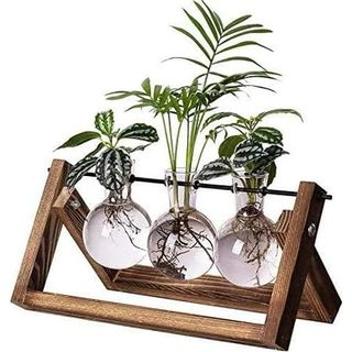 Suswim Plant Propagation Station, Plant Terrarium With Wooden Stand, Unique Gardening Birthday Gifts for Women Plant Lovers, Home Office Garden Decor Planter - 3 Bulb Glass Vases