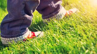 A child's feet walking over the grass