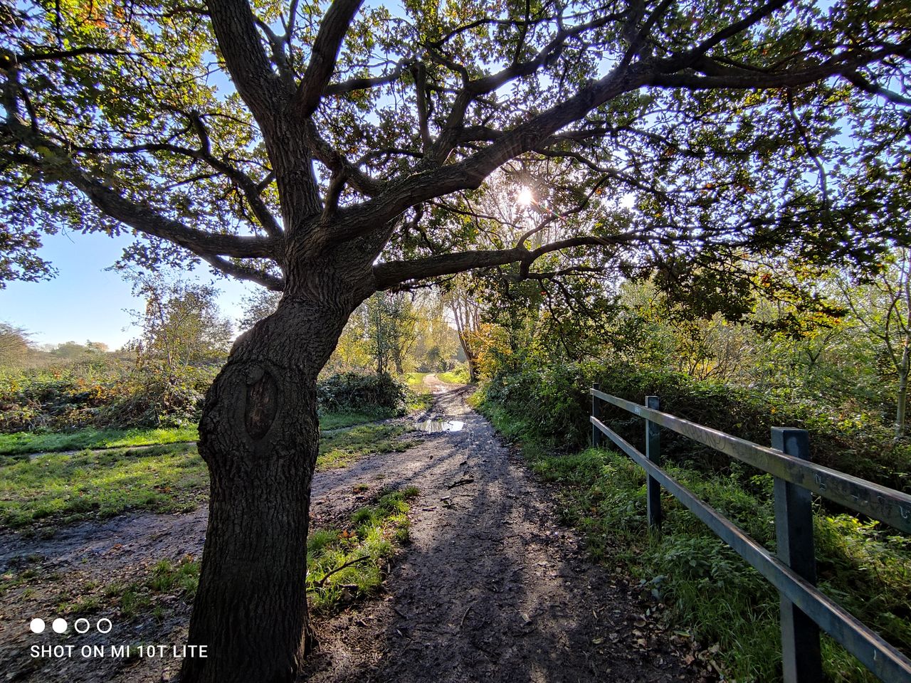 Xiaomi Mi 10T Lite camera sample