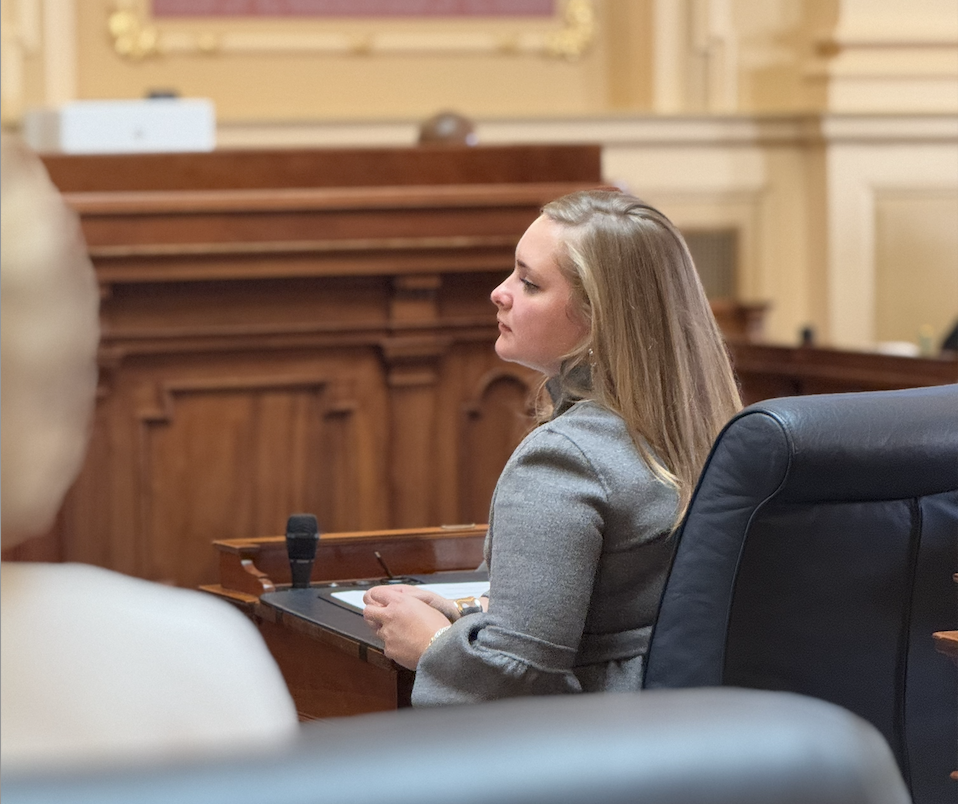 Lisa Vedernikova Khanna seated at a desk in a formal legislative chamber.