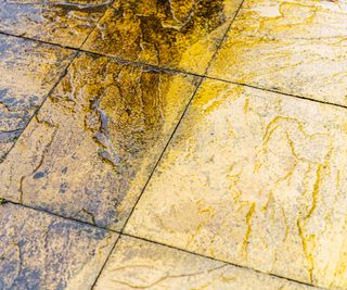 A patio in the middle of being cleaned