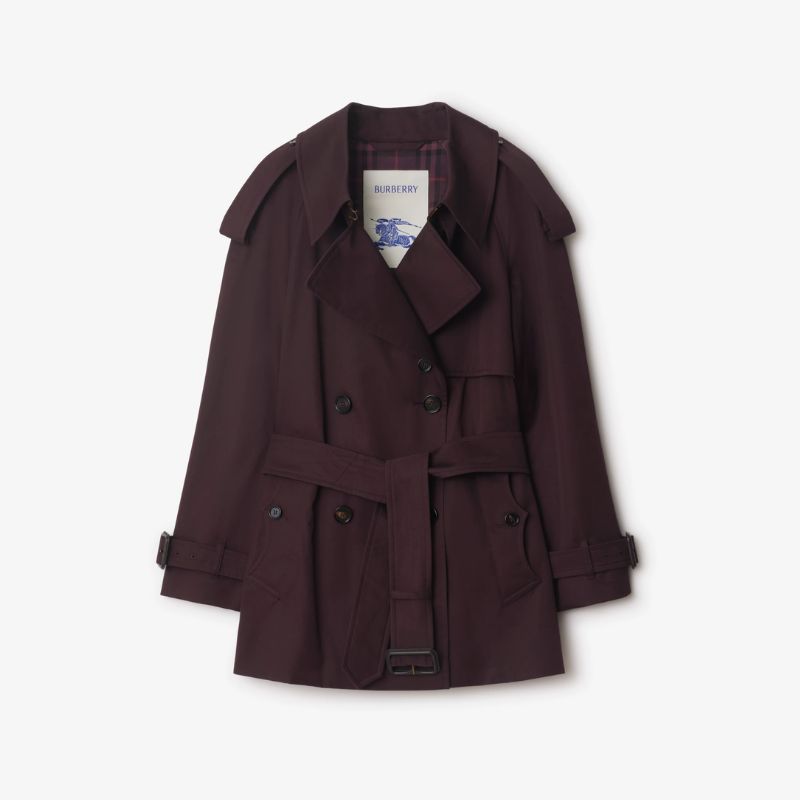Image of Burberry trench coat