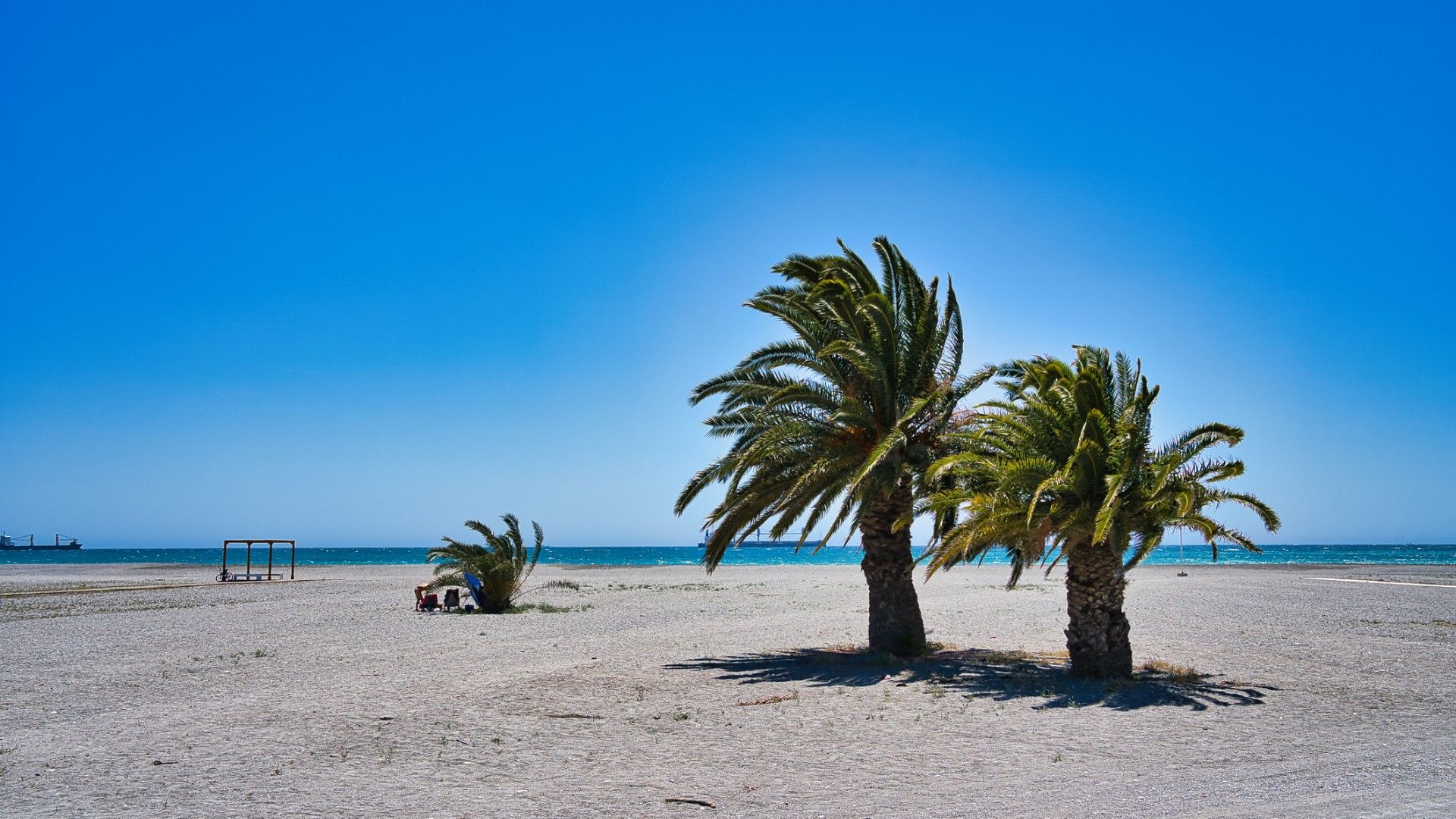 Three lonely palm trees on a large white beach.