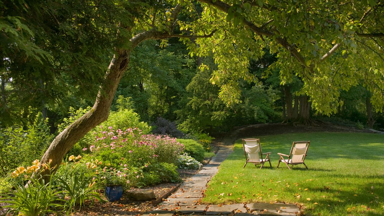 garden with a tall tree and deck chairs