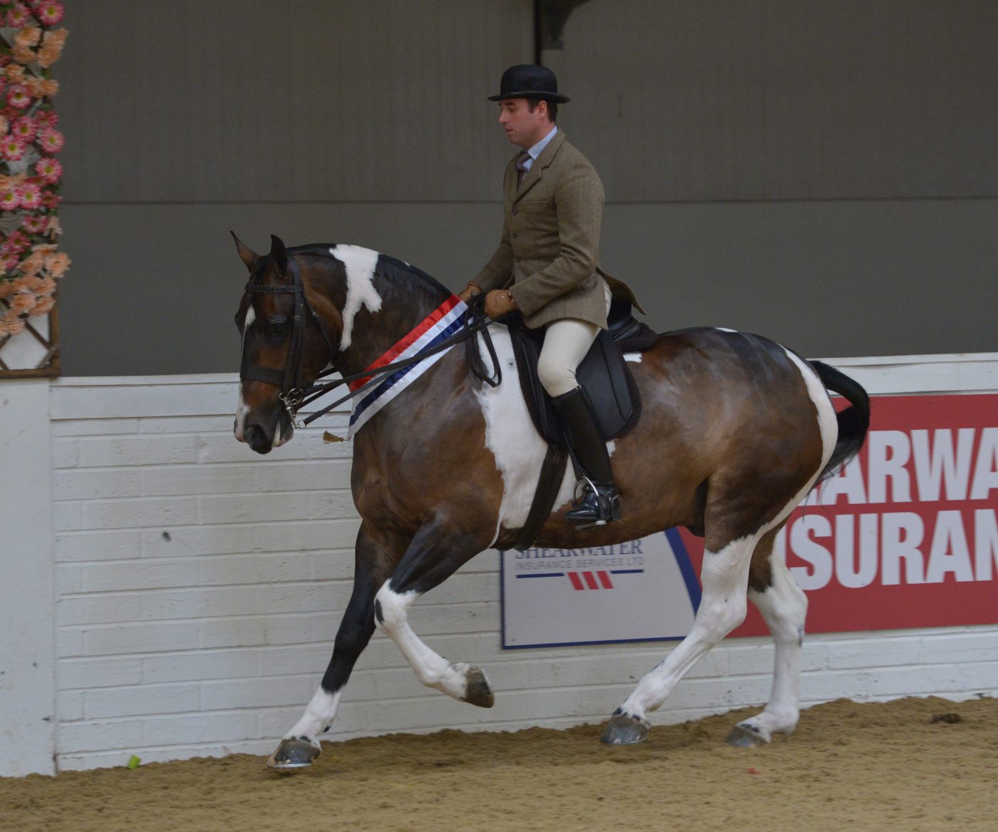 3-Counties-Show-02.06.197441_294481162_503969342-e1573475456221.jpg