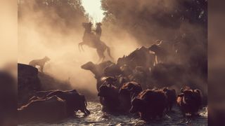 Stunning photograph of Turkish cowboy wins top spot at ViewSonic ColorPro Awards