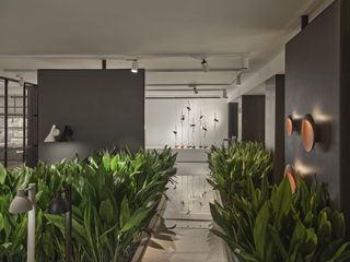 Showroom interior showing green plants and Parentesi by Flos in the back