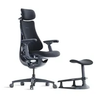 LiberNovo Dynamic Ergonomic Desk Chair + Stepsync Footrest Bundle