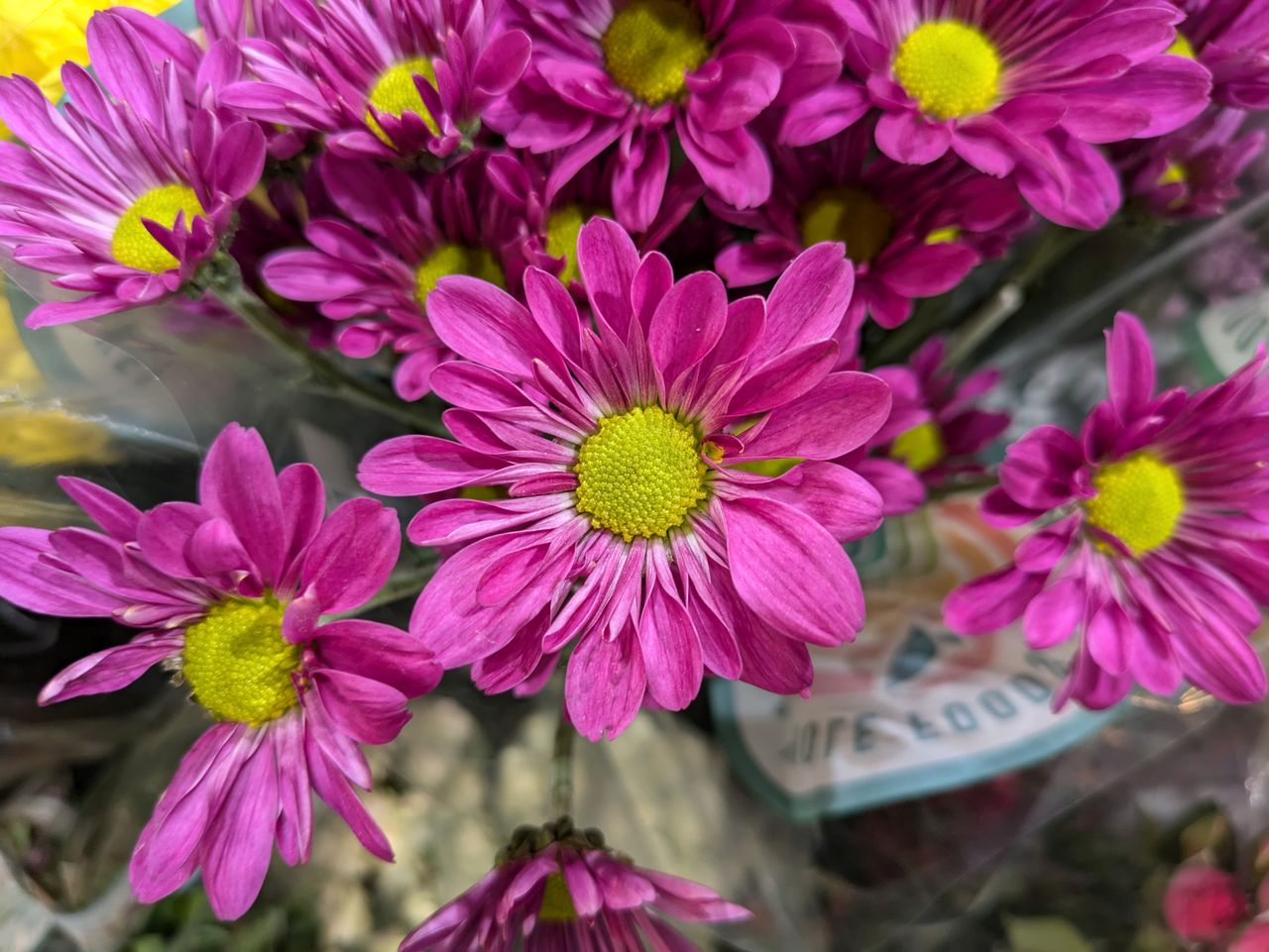 Google Pixel 8a main camera sample.
