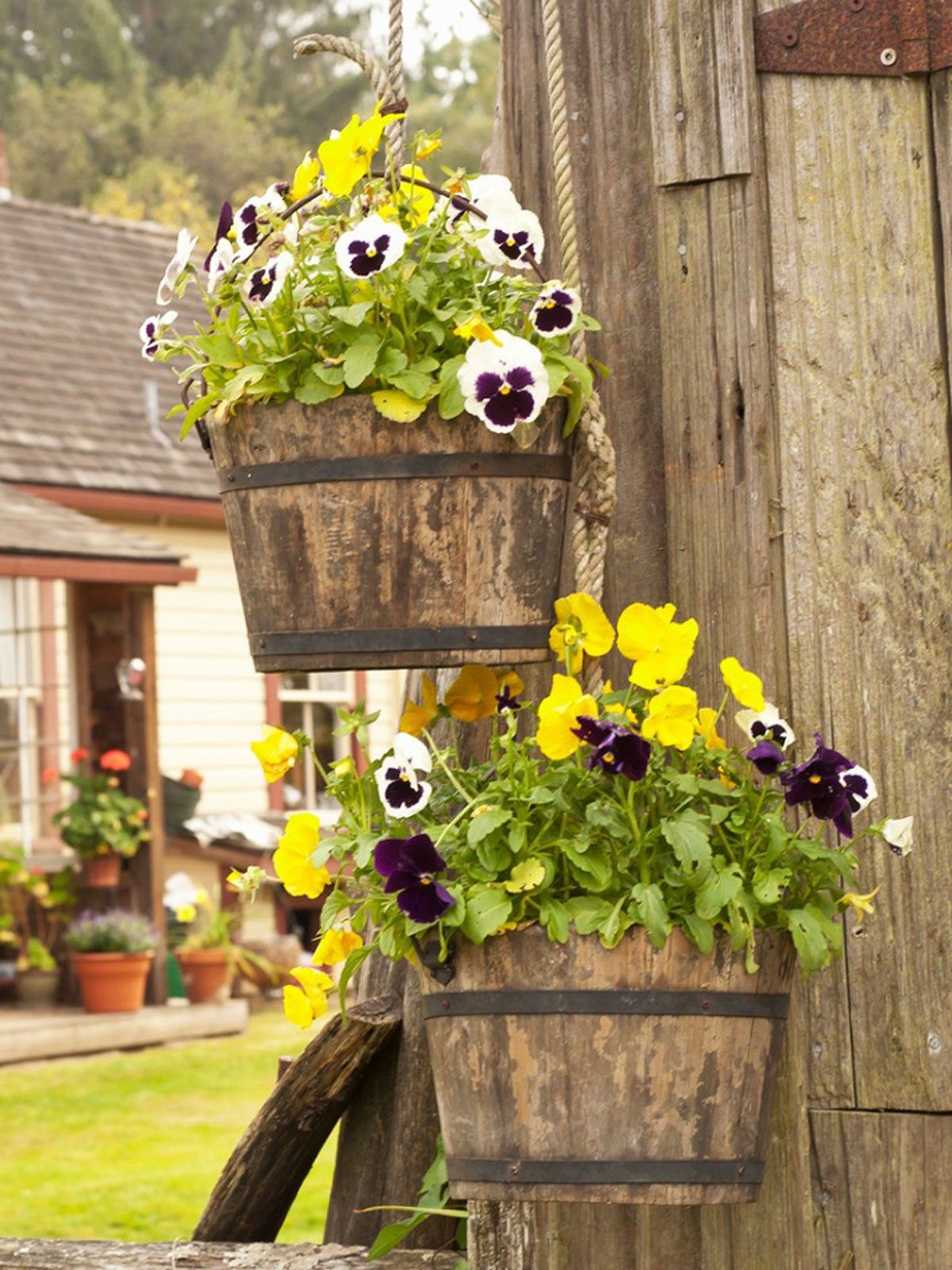 Flowers In Hanging Barrel Baskets