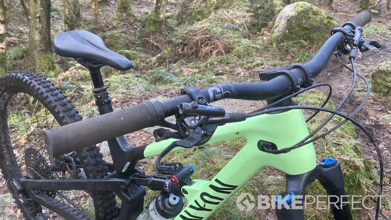 Canyon Spectral 29 CF8