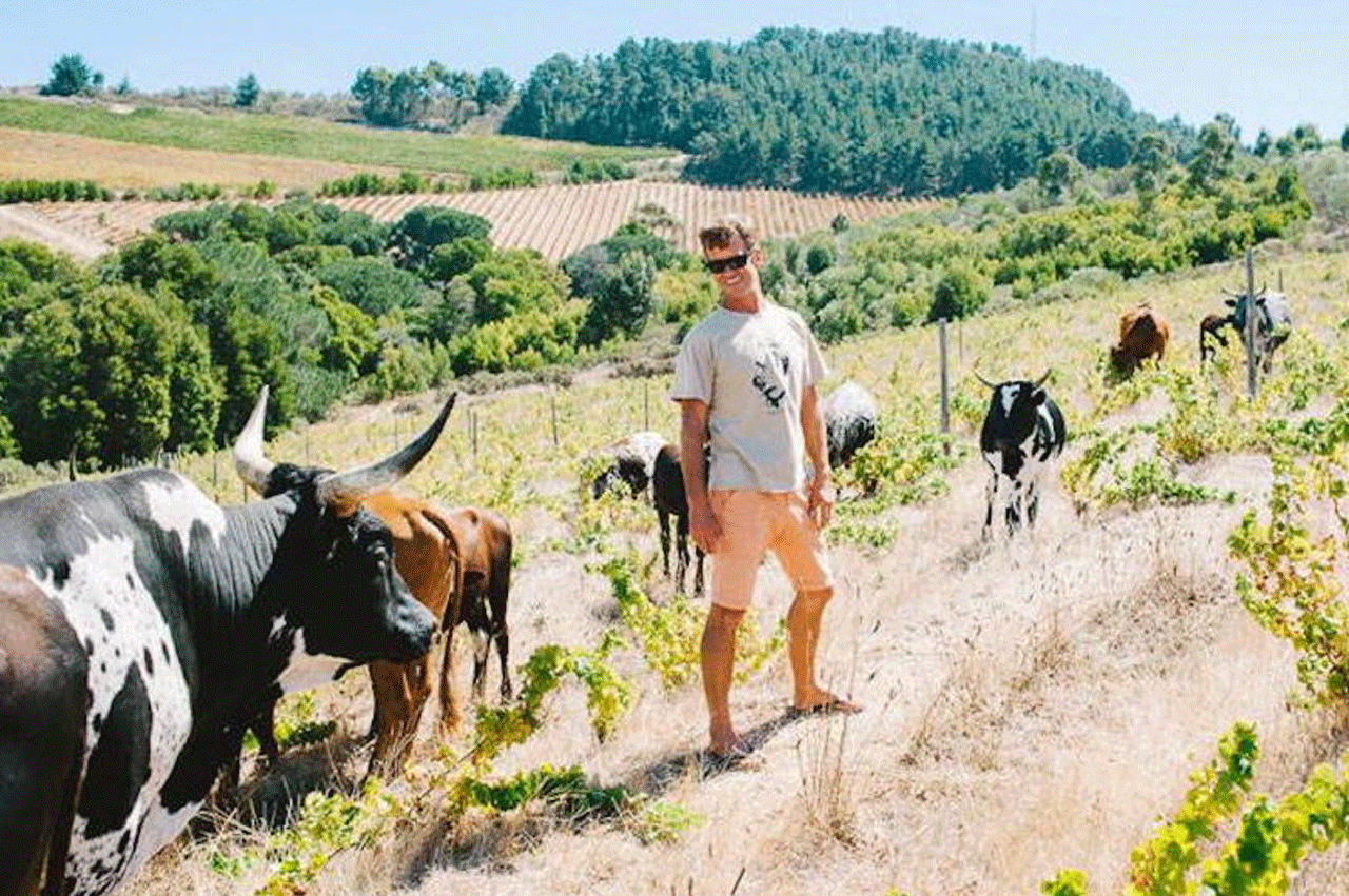 Johan-Reyneke-and-some-of-the-cows-on-his-biodynamic-Stellenbosch-farm.-Credit-Reyneke-Wines.jpg