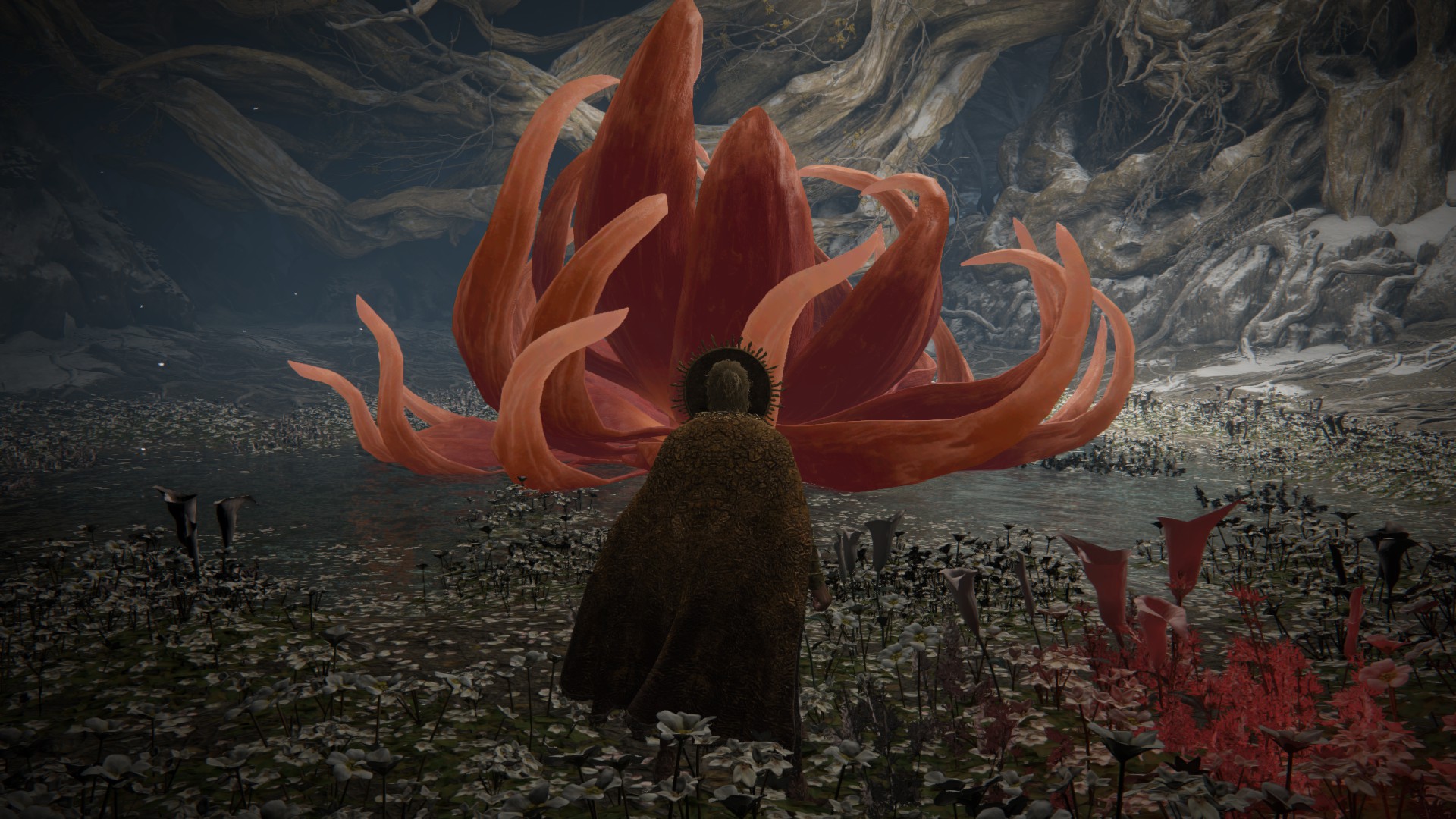 Elden Ring Malenia's bloom