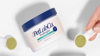 A tub of Petlab Co Pro Bright with 2 serving spoons filled with powder