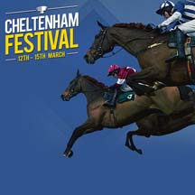 Cheltenham216sq.jpg