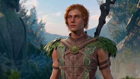 Baldur's Gate 3 race half-wood elf male