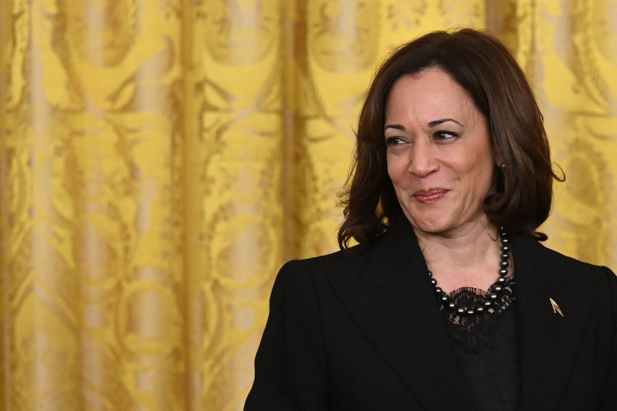 Kamala Harris Is She Bad For Biden S 2024 Chances The Week   BuV8bkdJgWsrdiP2JjCwnn 1200 80 