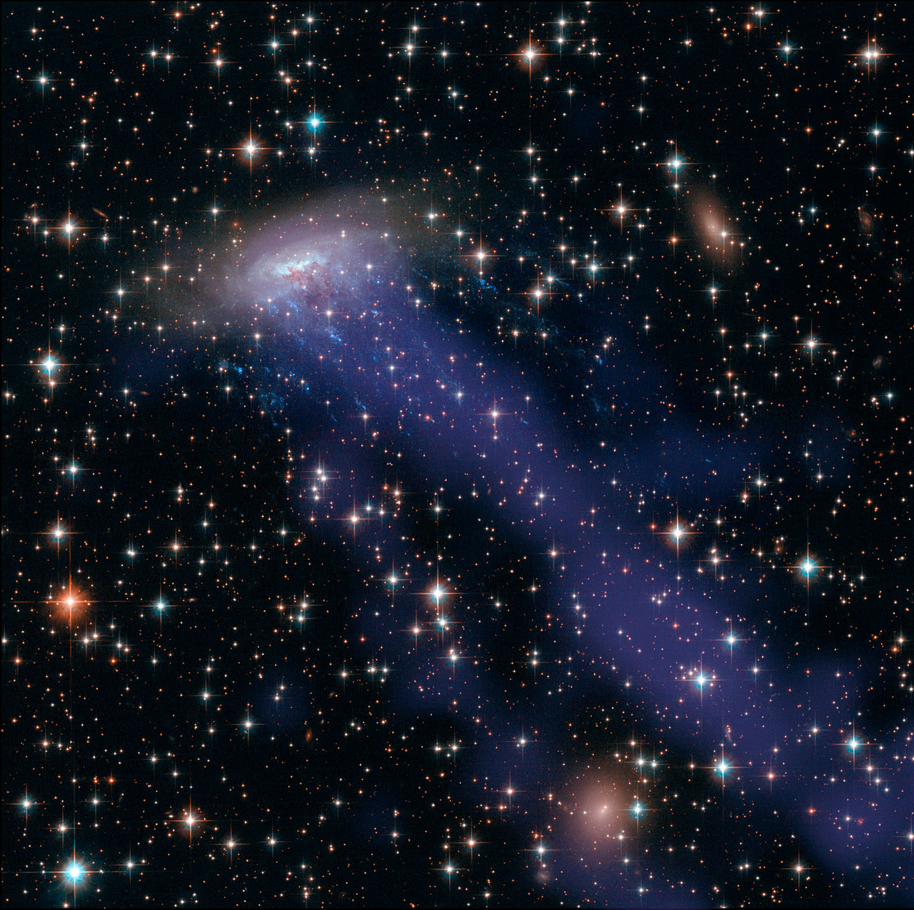 This image of the galaxy ESO 137-001 is a combination of images from the Hubble Space Telescope and Chandra X-ray Observatory showing the galaxy being ripped to shreds (blue streaks) as it passes through a galaxy cluster.