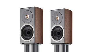 Audiovector R1 Arrete review
