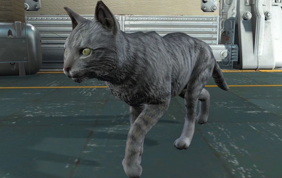 Catloving modder overhauls Fallout 4's slow, stupid felines PC Gamer