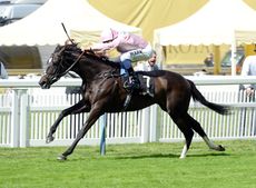 the-fugue-18-6-14-2.jpg