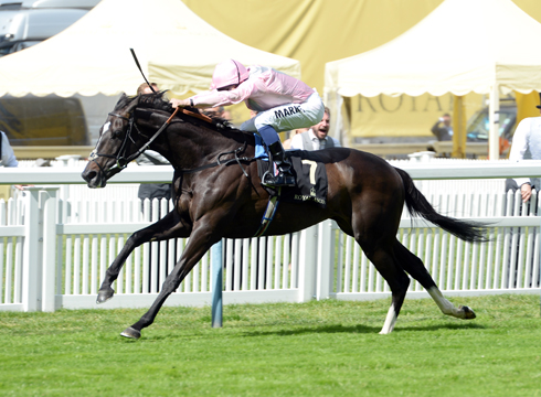 the-fugue-18-6-14-2.jpg