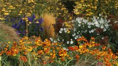 Fall border full of color