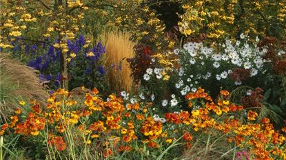 Fall border full of color