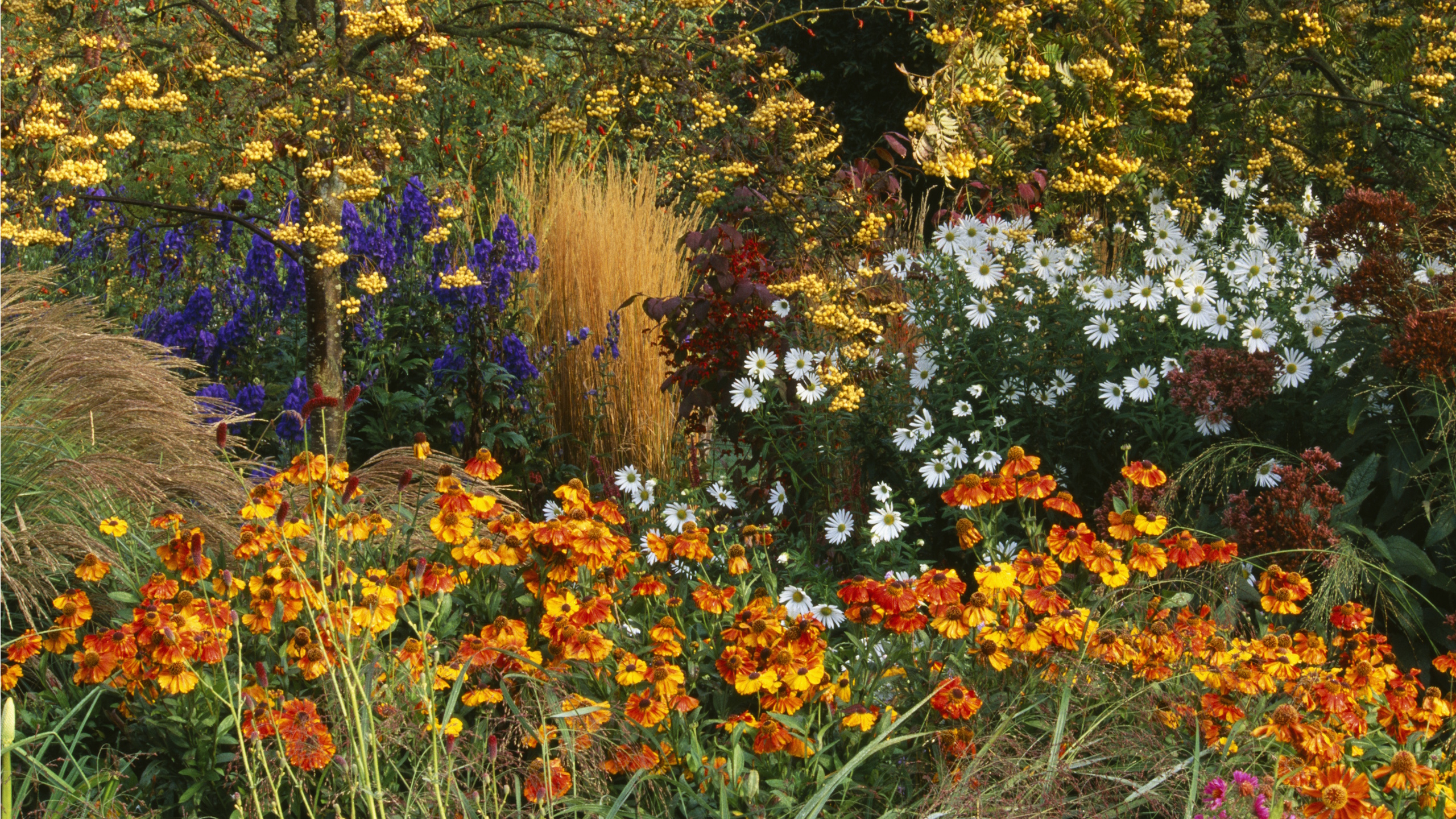 Fall border full of color
