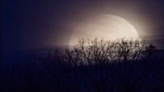 This year's rare Halloween full moon is a moon of many names.