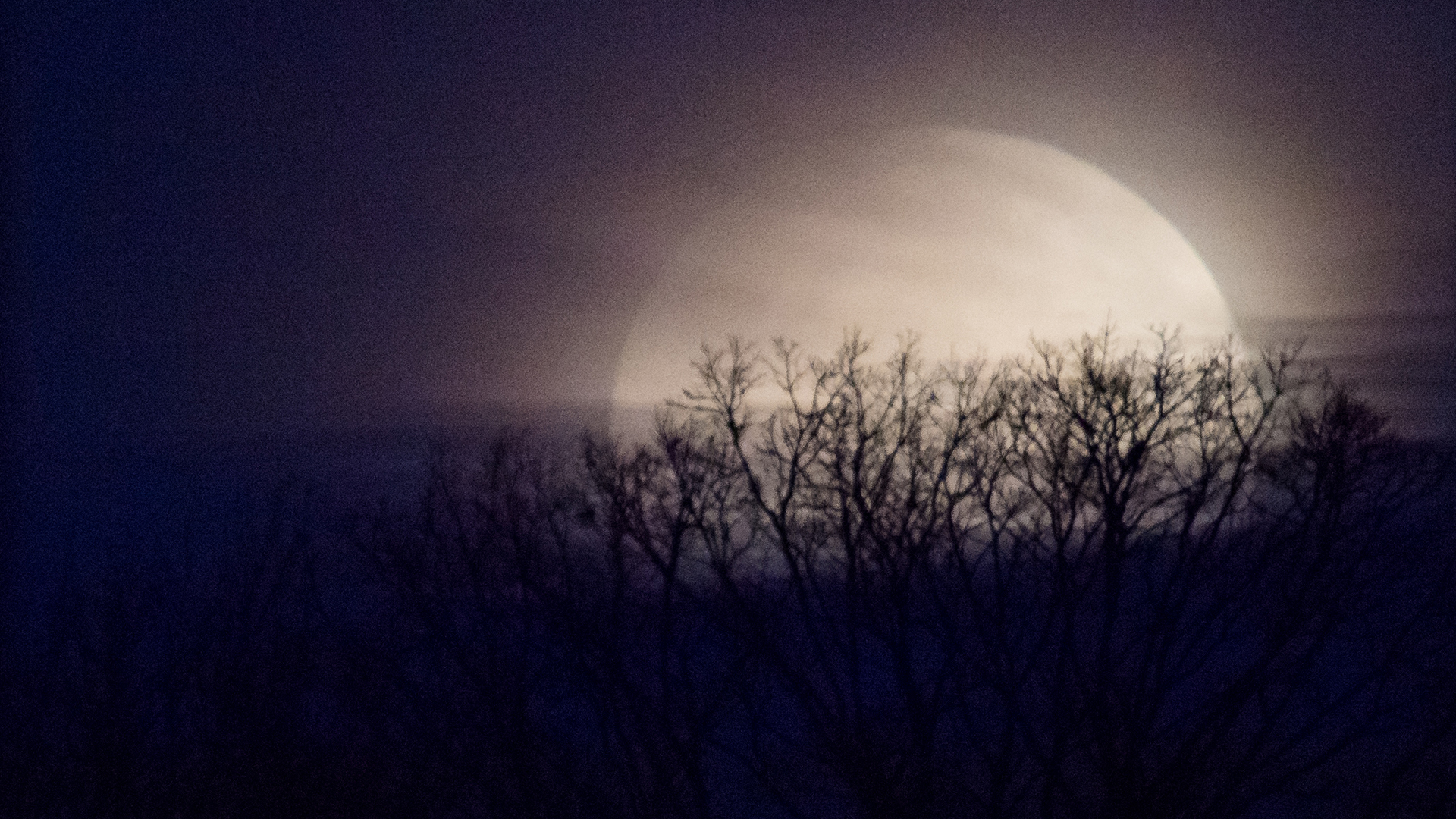 Rare full moon on Halloween will be seen across the US for the first