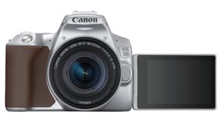 Canon EOS R100 vs EOS Rebel SL3