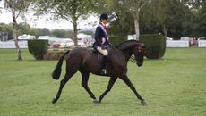 2025 Royal International Amateur supreme heads home with Rebekah Pring and Littletons Tiger Lily