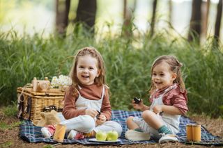 garden activities for kids: outdoor picnic