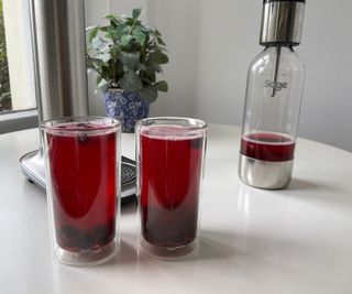 Sage InFizz with carbonized cranberry juice