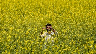 A farmer