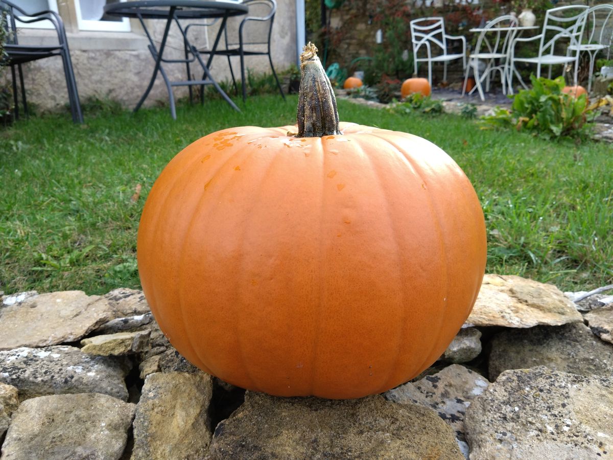 Image taken with a Sony Xperia 10 IV
