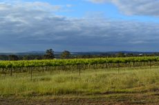 Barossa Valley
