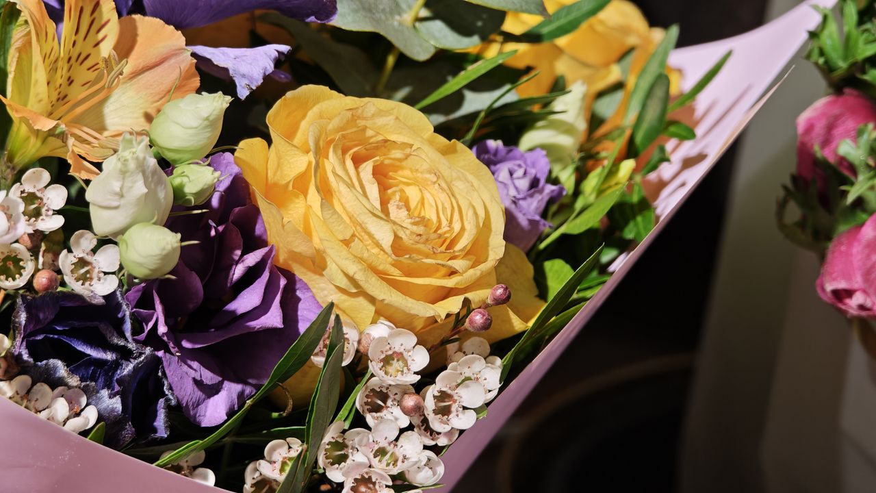 Xiaomi 15 Ultra review sample camera image