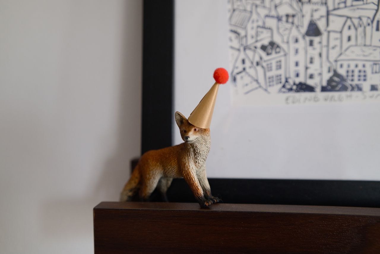 A photo of a fox miniature taken on a Sigma BF